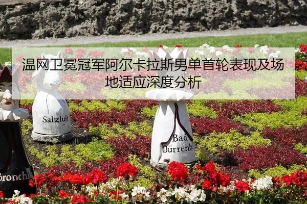 wen-wang-wei-mian-guan-jun-a-er-ka-la-si-nan-dan-shou-lun-biao-xian-ji-chang-di-shi-ying-shen-du-fen-xi-2-491.jpg