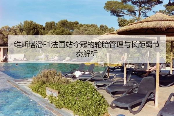 维斯塔潘F1法国站夺冠的轮胎管理与长距离节奏解析